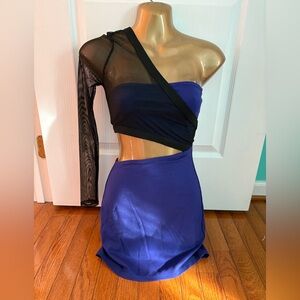 h:ours Vibrant Purple and black mesh Dress